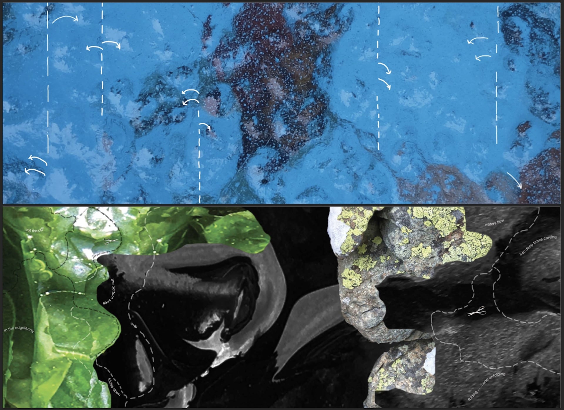 Enzyme #2 - Linda Jane James