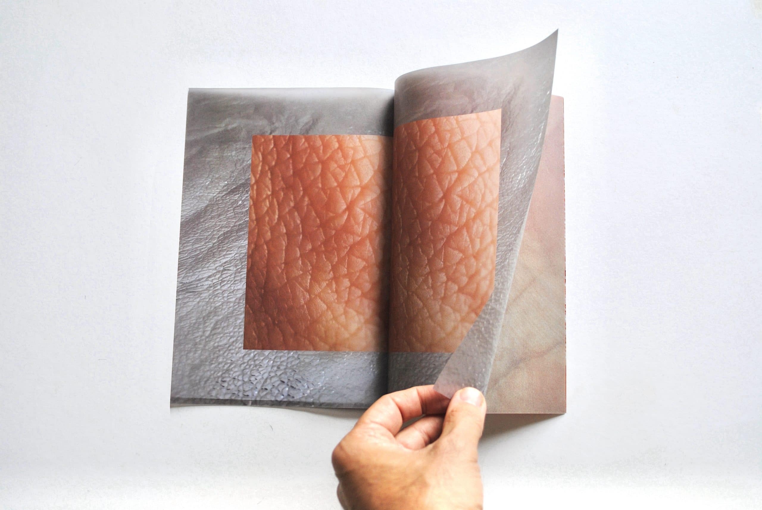 Enzyme #2 - Cos Ahmet